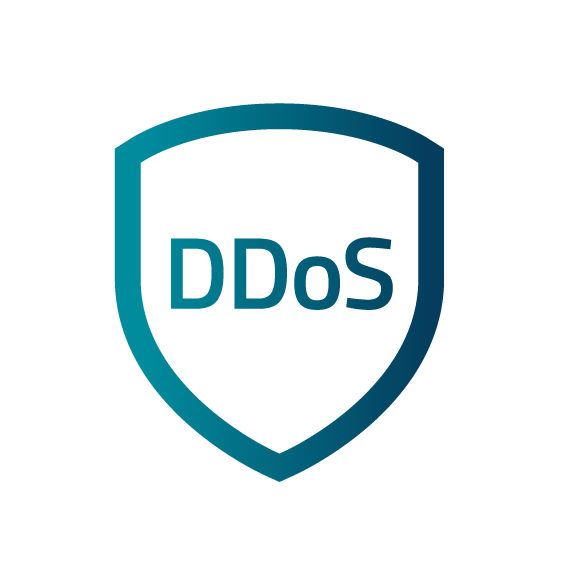 Lease Packet Data Center Server DDoS Protection